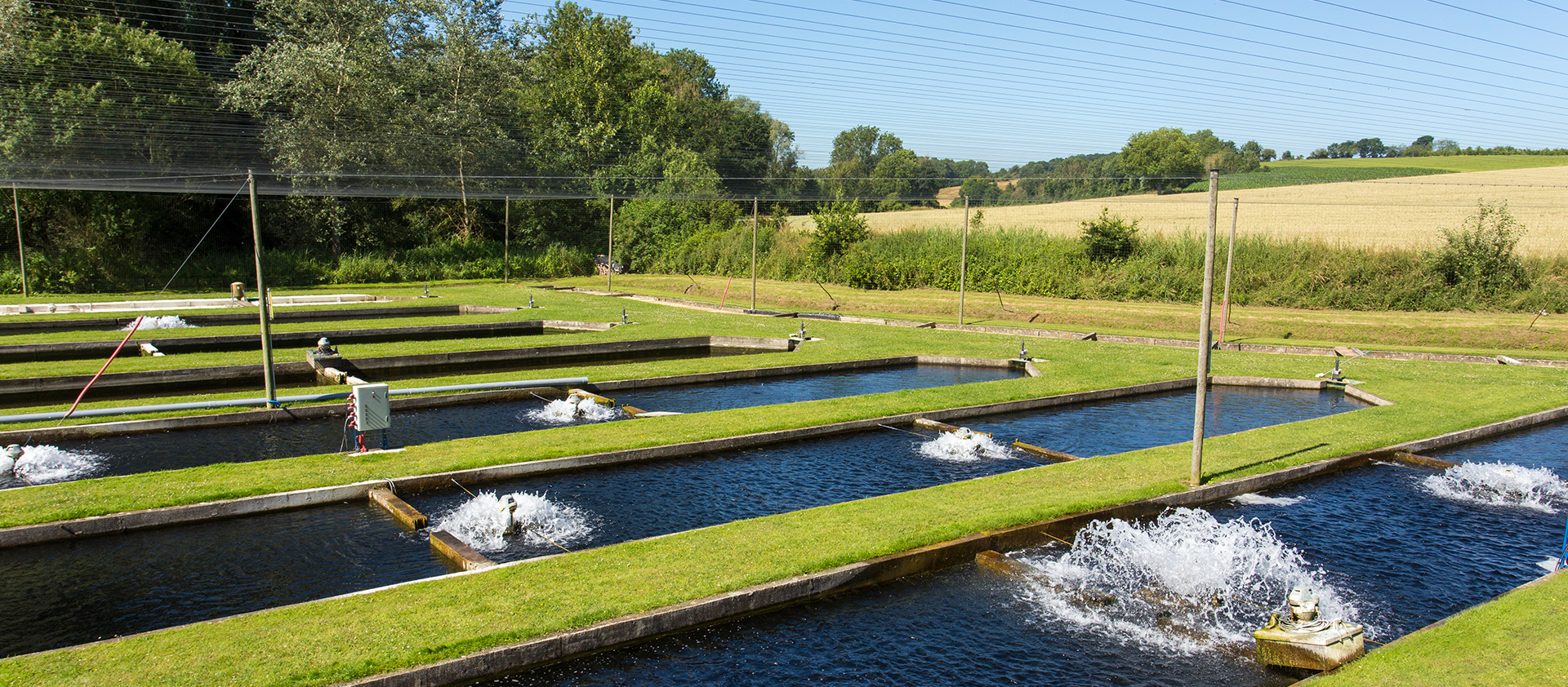 Syndicat des Pisciculteurs Hauts-de-France - Accueil